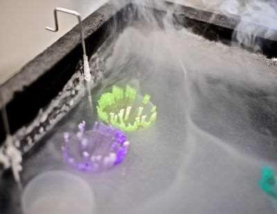 Embryo and Semen Insurance